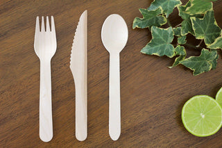 FOOGO_Green_Wooden_cutlery_disposable__74125