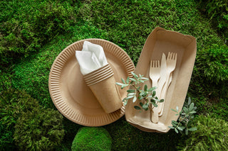 stoviglie-ecocompatibili-usa-e-getta-e-riciclabili_169016-4312